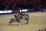 Quadrille - 00676